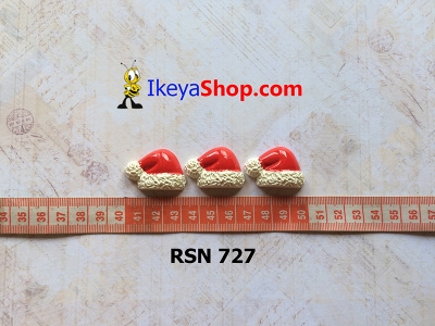 rsn 727  large2
